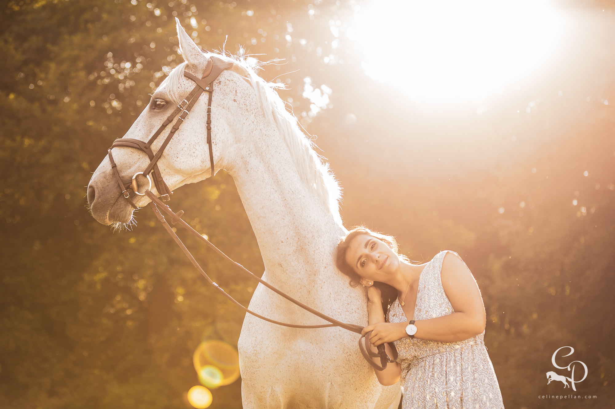 Chevaux & gardiens