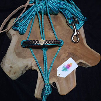 Indian Horses 2.jpg