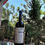 Miniatura: Vinho Tinto Seco Orgânico Tempranillo Bianchetti Tedesco 750 ml