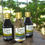 Miniatura: Vinho Portal do Sol Tinto Seco Bianchetti Tedesco de 210 ml