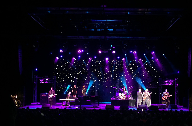 (7) CHOCOLATE STARFISH .jpg