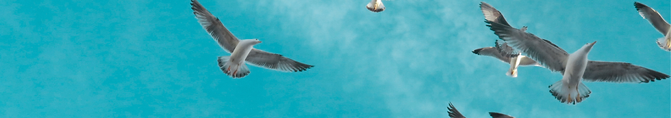 Event-Banner für ImproVoices (7).png