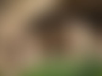 Mesa Verde: My Favorite National Park