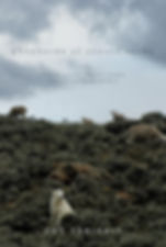 Shepherds of Coyote Rocks