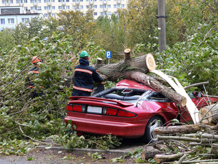 What To Do After A Hurricane