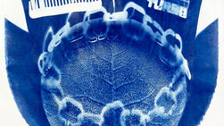 cyano_serie_WZ 09-c2w.jpg