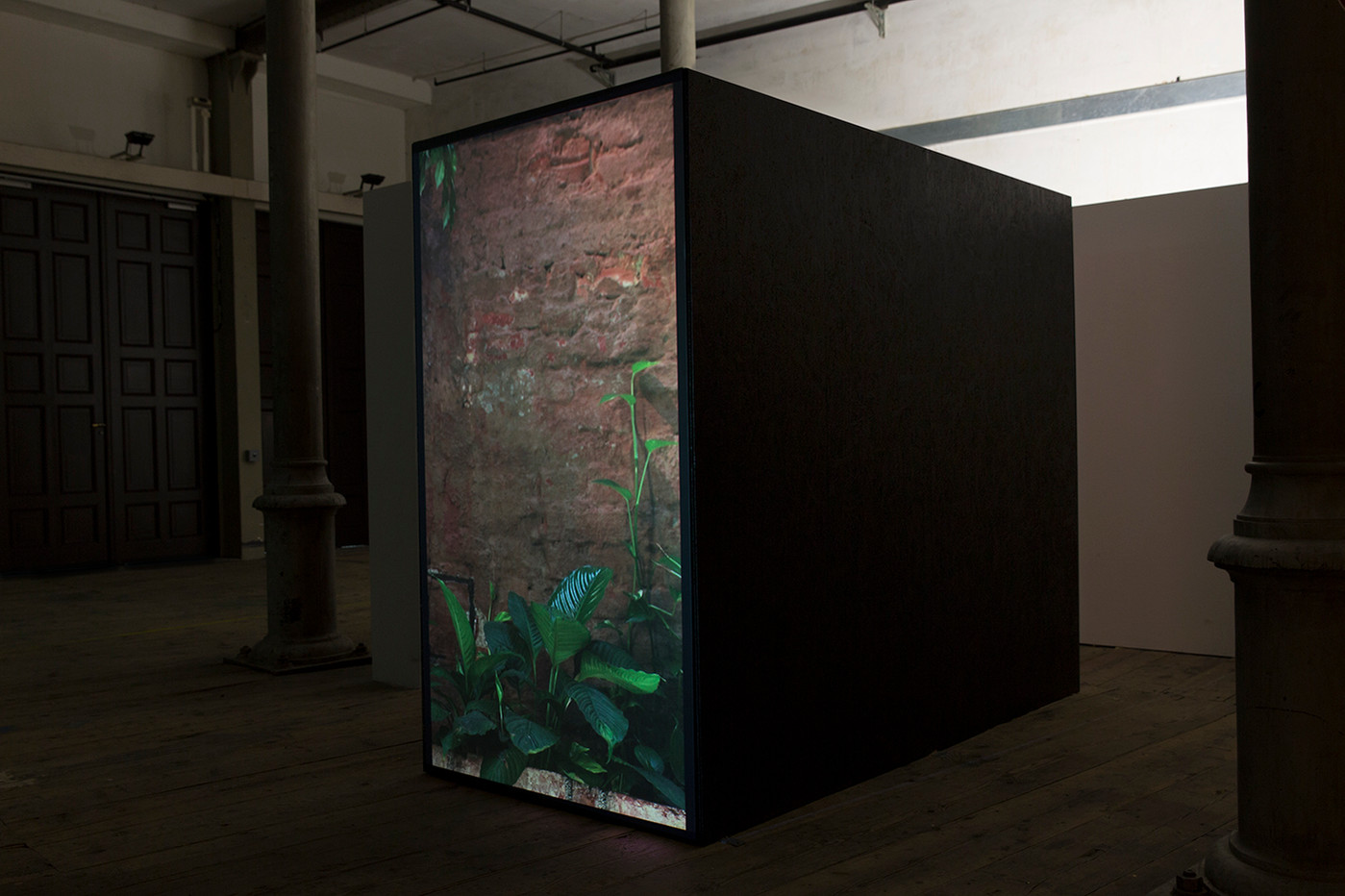 Mario Kiesenhofer, Kaiserbründl