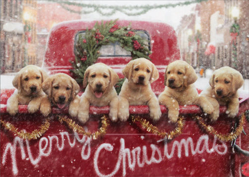 Merry Christmas.jpeg