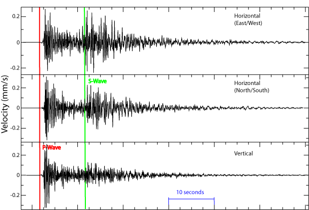 Seismic Wave: