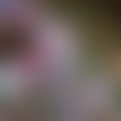 Postřehy z pikniku 🍡