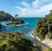 iStock-1582051319.jpg