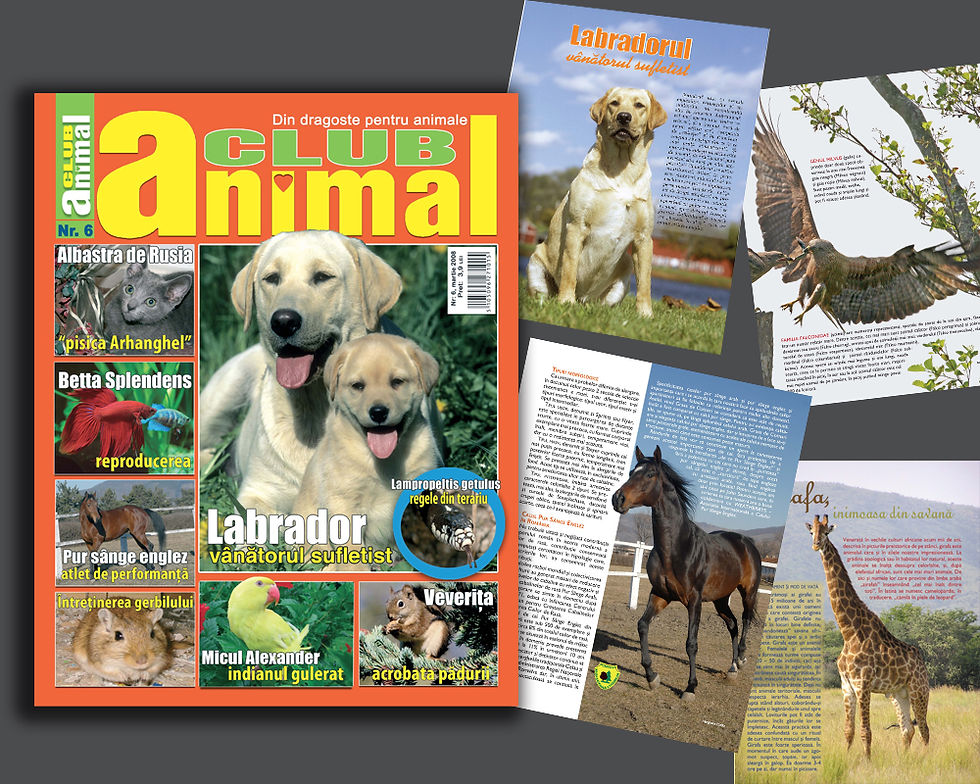 magazine Animal Club