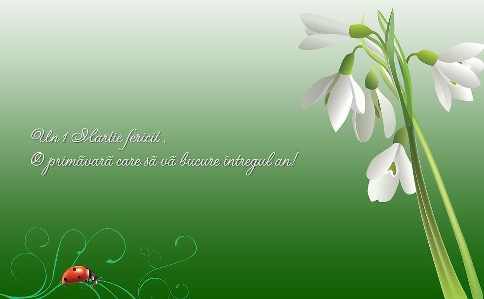 Greating card 1