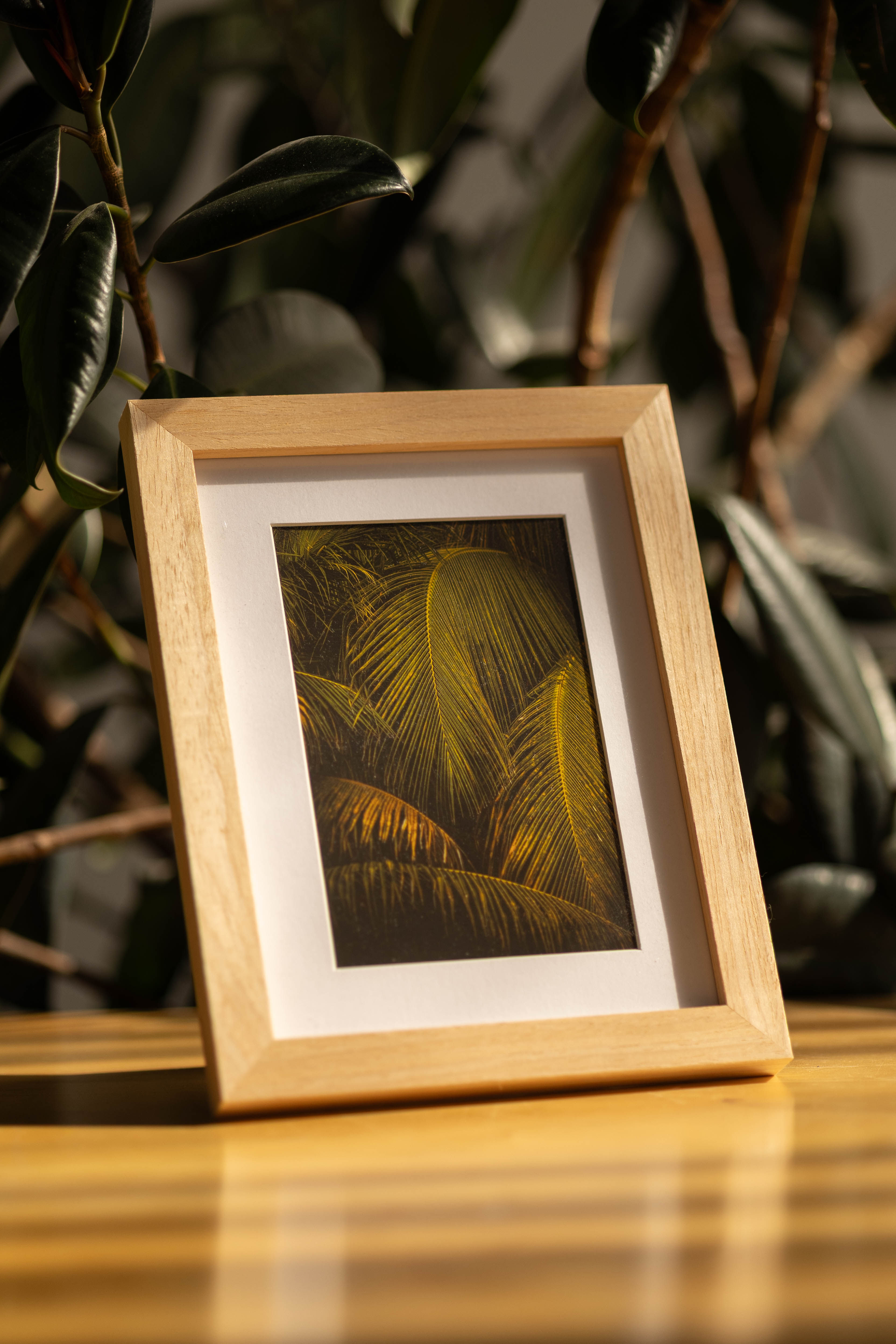 Lush Palm Trees | Framed Print | Print Size 4x6" | Frame Size 7x9"