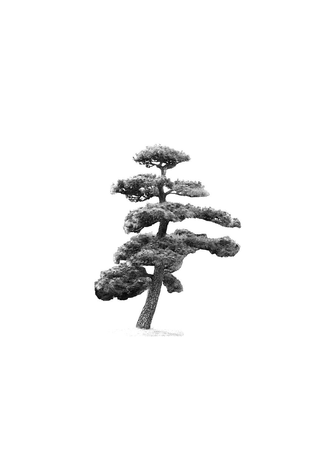 Japanese Tree | Unframed Art Print