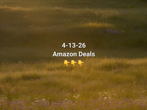 4-13-26 Amazon Deals