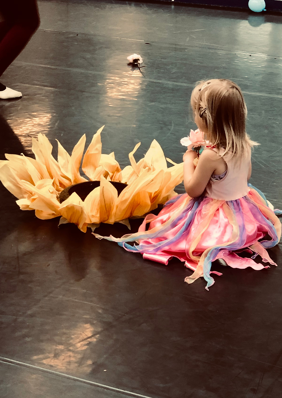 Dans en balletlessen in Haarlem