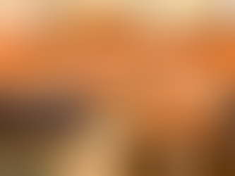 Turkish Airlines Name Change Policy