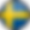 sweden-flag-3d-round-medium_edited.png