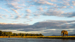 International Granite Connection IGC