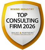 TOPCONSULTING.png