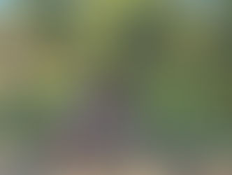 CARTA DE LA FAMILIA DE UN FUTURA ingeniera