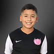 Copy of Fernando (1).png