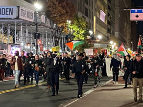 The Bigger Picture: Understanding Israel-Palestine from Different Perspectives