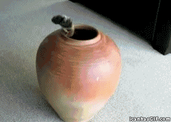 escape.gif