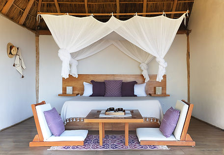 Eco Chic Suite AC 1.jpg