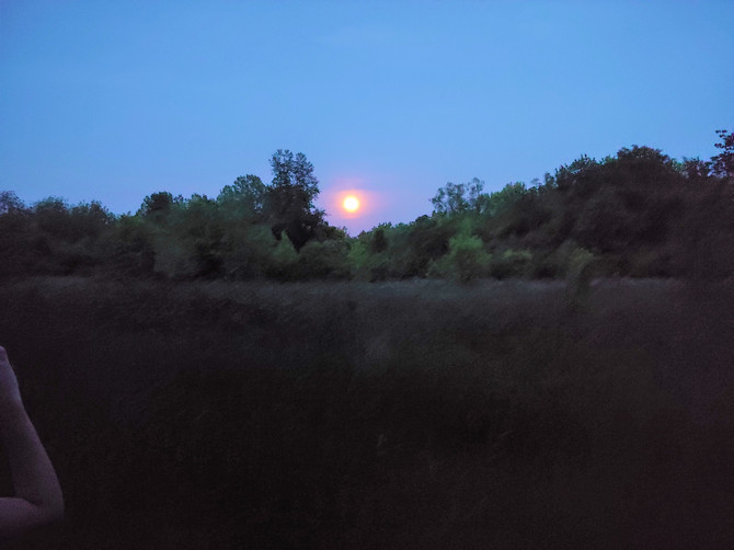 Join us tonight 6/24 to see the Super Strawberry Moon!
