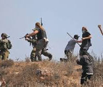 Dispatch #178White Lesbian Age 73 Considers Israel’s Escalating Campaign of Ethnic Cleansing by Settler Terrorism and Widespread Destruction by Israeli Occupation Force (dba IDF) in Occupied WestBank 