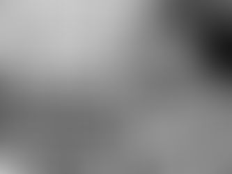 Dispatch #74 White Lesbian Age 68 Considers the Righteousness of Reparations for Black Americans