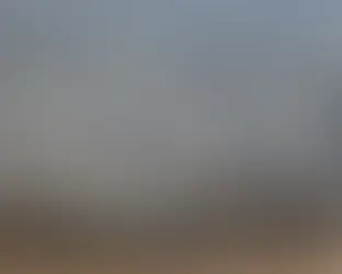 Dispatch #181 White Lesbian Age 73 Considers How Israel Continues the Horrific Suffering of Palestinians Using Torture, Terrorism, Genocidal Savagery