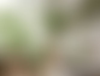 Fresh Plants, Fresh Vibes – Only at Bagudyan Indore 🌱