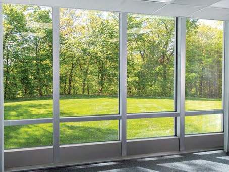 Product of the month: BirdSmart