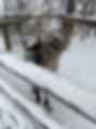 20200216_124204064_iOS.heic