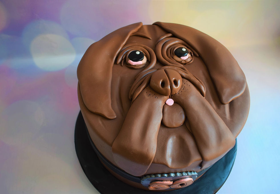 DOG FACE CAKE (3)