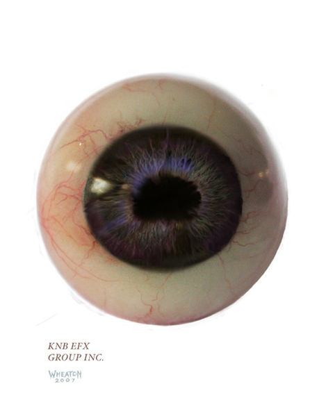 DrenEyeCU1d, 11-13-07.jpg