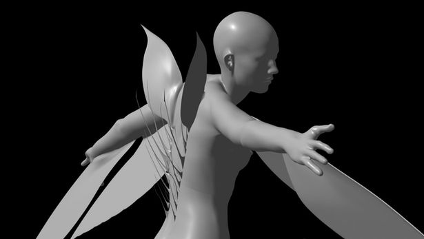 dren_wings.2.jpg