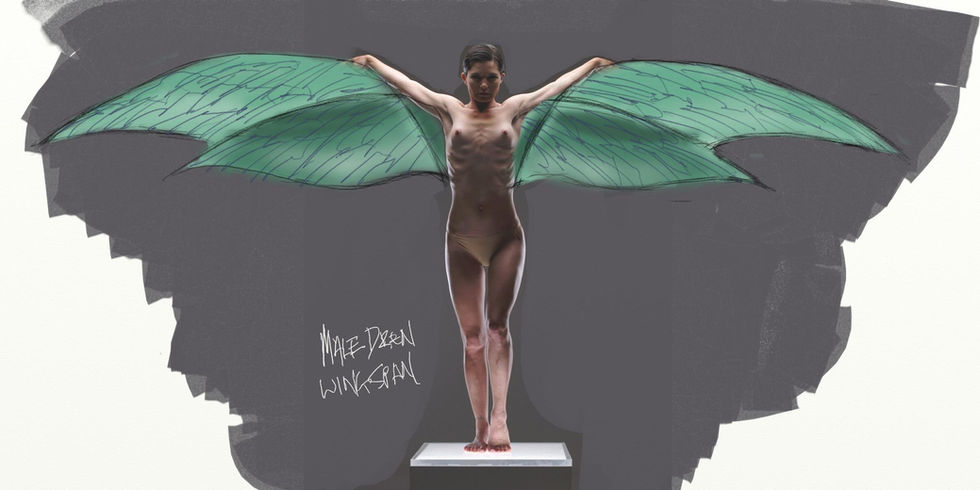 MaleDrenWingNote copy.jpg