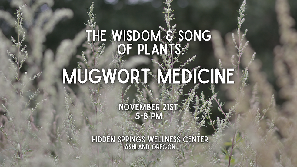 The Wisdom & Song of Plants - Mugwort
