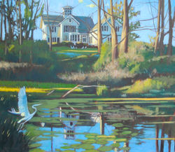 Spring Pond Light- Ithaca