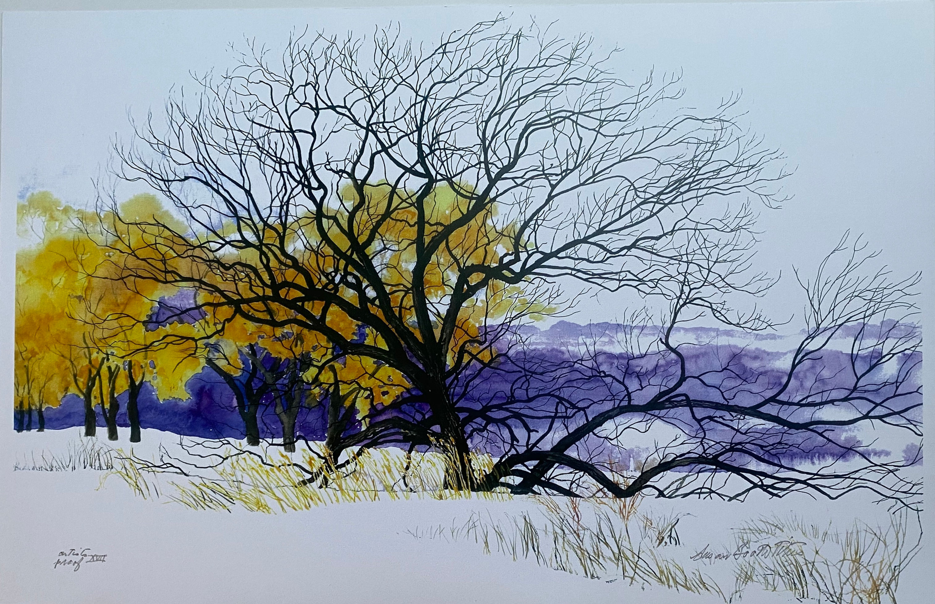 Winter Lakeside Forest