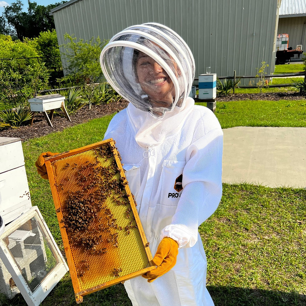 Hive Demo_edited