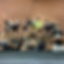 Indoor Soccer_edited.jpg