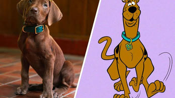 Netflix revela el primer vistazo de Scooby en su nueva serie live-action