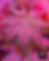 Untitled design (7).png