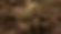 GH (3).png