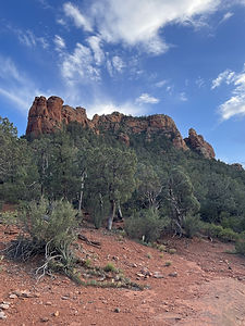 IMG_4338.JPG